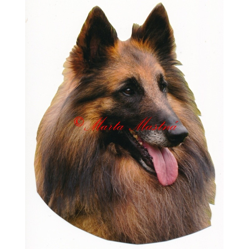 Samolepka belgický ovčák tervueren