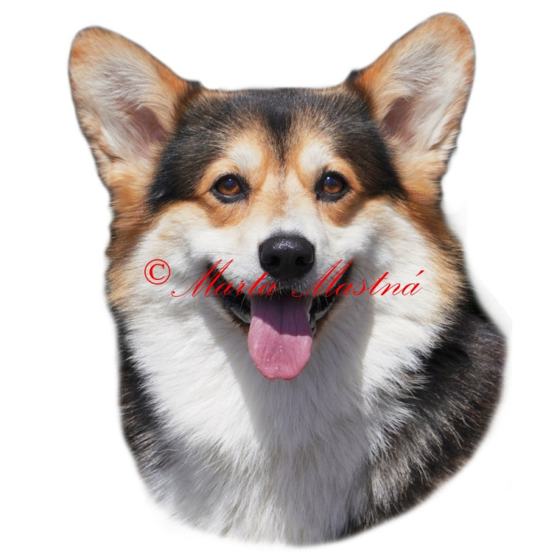 Samolepka velškorgi, welshcorgi