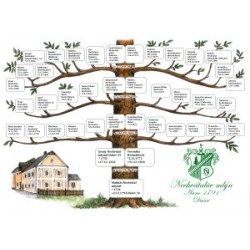 Rodový strom, rodokmen, genealogický vývod