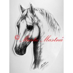 Samolepka kůň lipicán