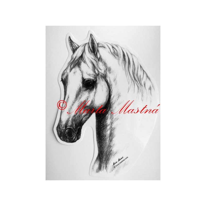 Samolepka kůň lipicán