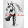 Samolepka kůň lipicán