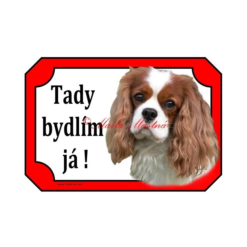 Tabulka kavalír king Charles španěl