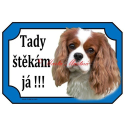 Tabulka kavalír king Charles španěl