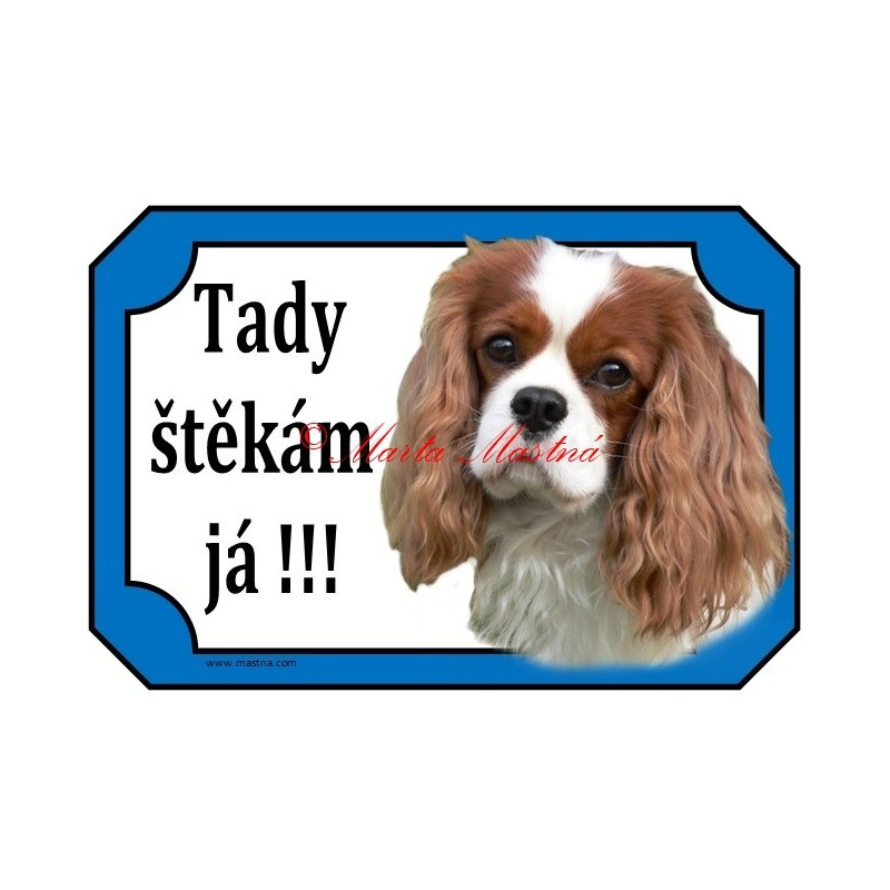 Tabulka kavalír king Charles španěl