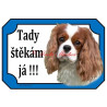 Tabulka kavalír king Charles španěl