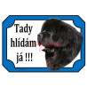Tabulka novofundlandský pes