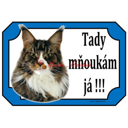 Cedulka kočka mainská mývalí, maine coon