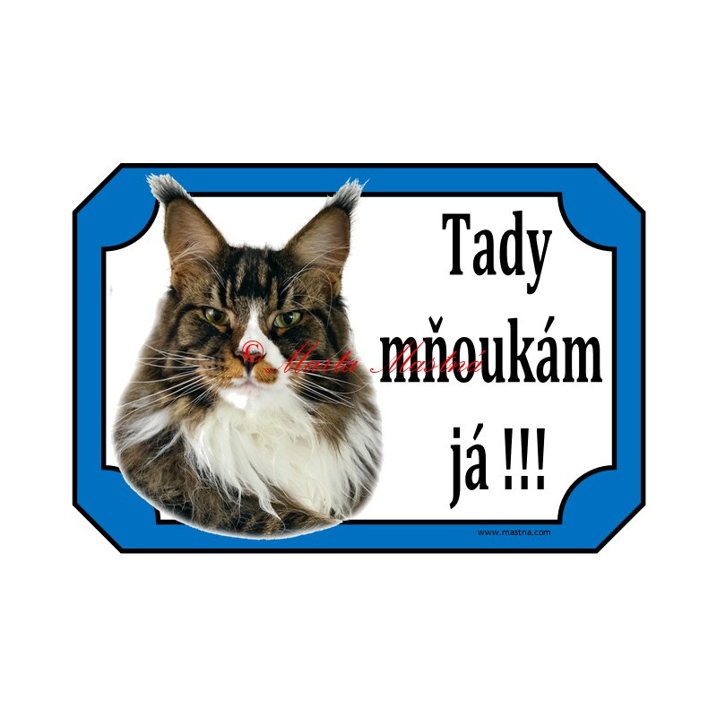 Cedulka kočka mainská mývalí, maine coon