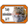 Cedulka kočka perská