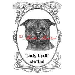 Cedulka stafordšírský bulteriér