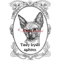 Tabulka kočka sfinx, sphinx