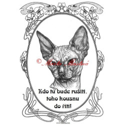 Tabulka kočka sfinx, sphinx