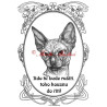Tabulka kočka sfinx, sphinx
