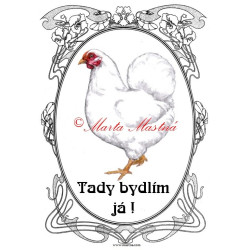 Cedulka drůbež, slepice wyandotka