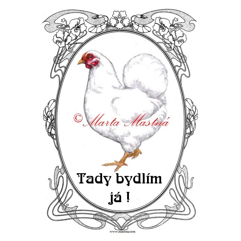 Cedulka drůbež, slepice wyandotka