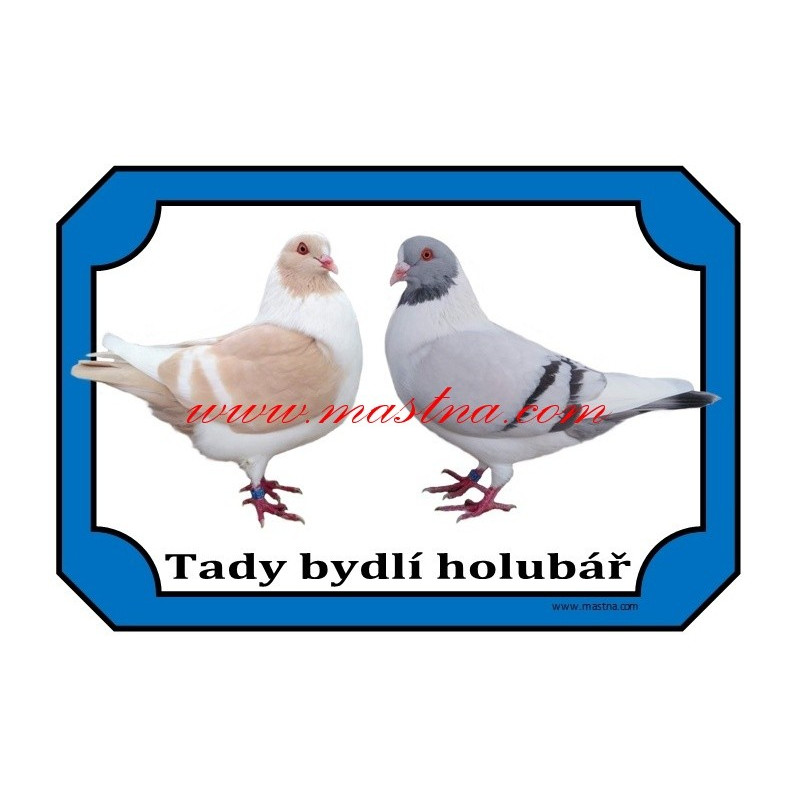 Cedulka holub prácheňský káník