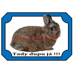 Cedulka králík zakrslý divoký