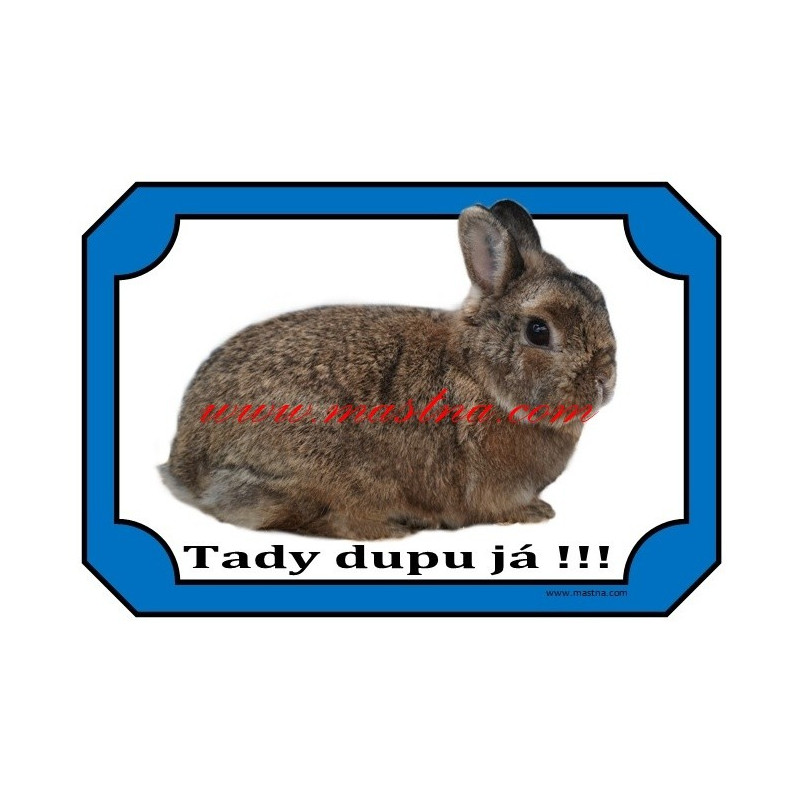 Cedulka králík zakrslý divoký