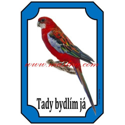 Cedulka rosela - papoušek