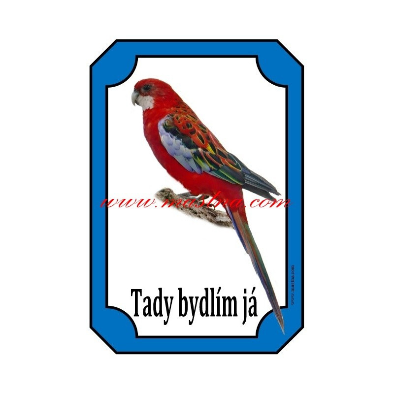 Cedulka rosela - papoušek