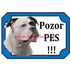 Tabulka americký buldok