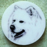Samojed magnet nebo placka