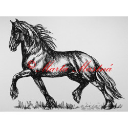 Samolepka kůň frís