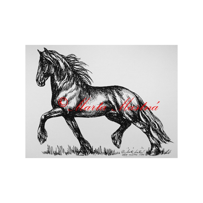 Samolepka kůň frís