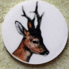 Srnec, srnčí zvěř magnet nebo placka