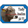 Cedulka kráva brown swiss, švýcký skot