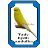 Cedulka andulka - papoušek vlnkovaný