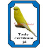 Cedulka andulka - papoušek vlnkovaný