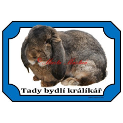 Cedulka králík francouzský beran