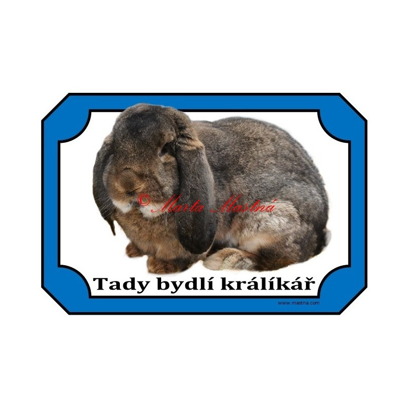 Cedulka králík francouzský beran