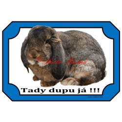 Cedulka králík francouzský beran