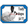 Cedulka králík anglický strakáč