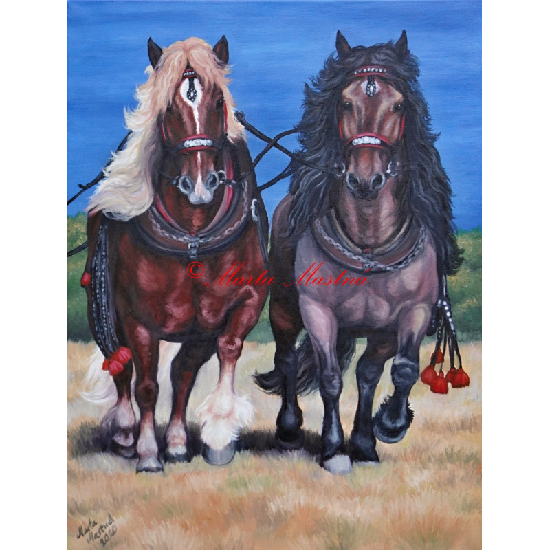 Obraz koně, chladnokrevníci, norik Nikon a belgik Kobi, hřebčinec Písek