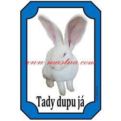 Cedulka králík belgický obr albín