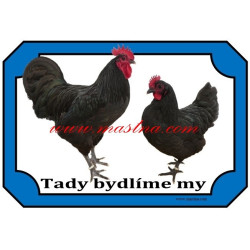 Cedulka králík anglický strakáč