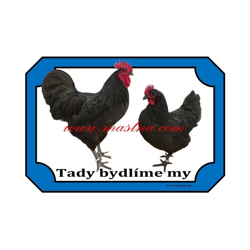 Cedulka králík anglický strakáč