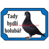 Cedulka holub výstavní tipler