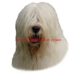 Samolepka jihoruský ovčák, pastevecký pes