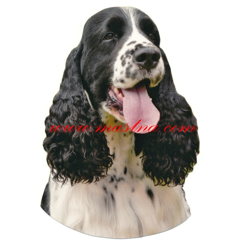 Samolepka špringršpaněl