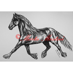 Samolepka kůň frís