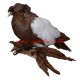 Samolepka holub český bublák červený běloštítý