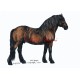 Obraz chladnokrevník Agregát, kůň, koně, perokresba - tisk
