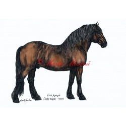 Obraz chladnokrevník Agregát, kůň, koně, perokresba - tisk