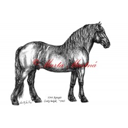 Samolepka chladnokrevník Agregát, kůň, koně