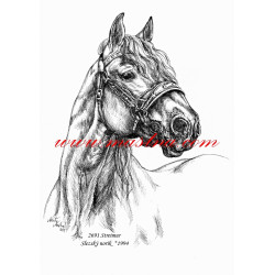 Samolepka norik Streimur, kůň, koně